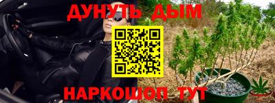 хмурый Малгобек