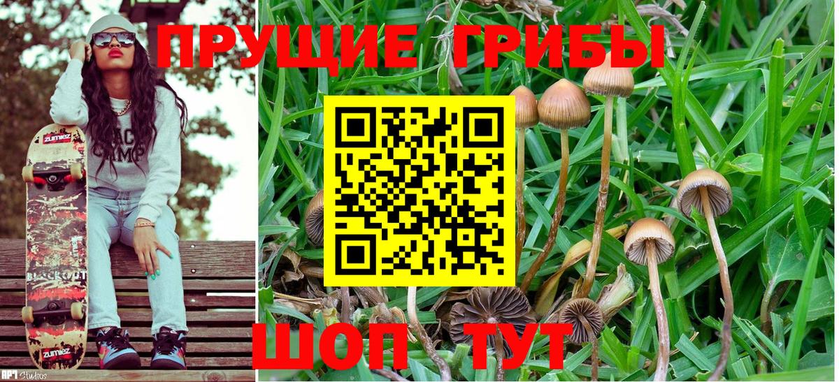 Псилоцибиновые грибы Psilocybine cubensis Елизово
